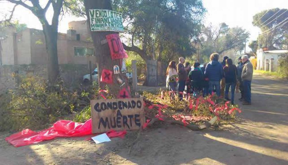 Vecinos de Santa Rosa se manifiestan para evitar la tala de rboles