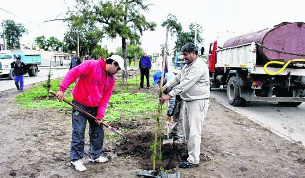 M�s de 10.500 �rboles se plantaron en la ciudad