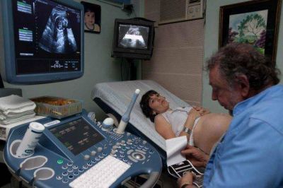 Fertilizaci�n asistida: OSEP ampli� los cupos