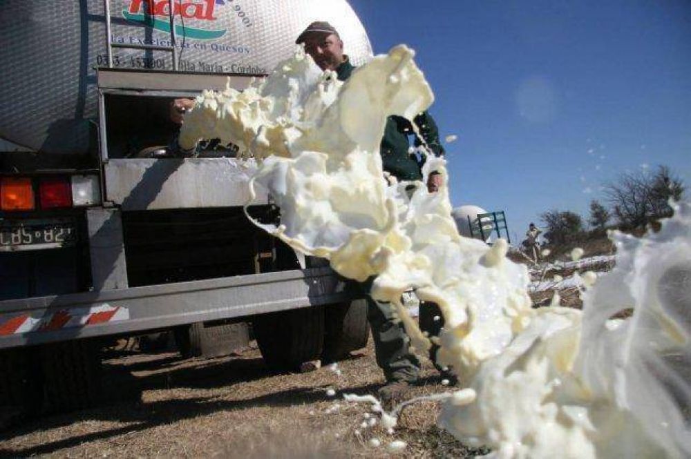 Crisis en los tambos: advierten que los productores pierden terreno en el precio final de la leche