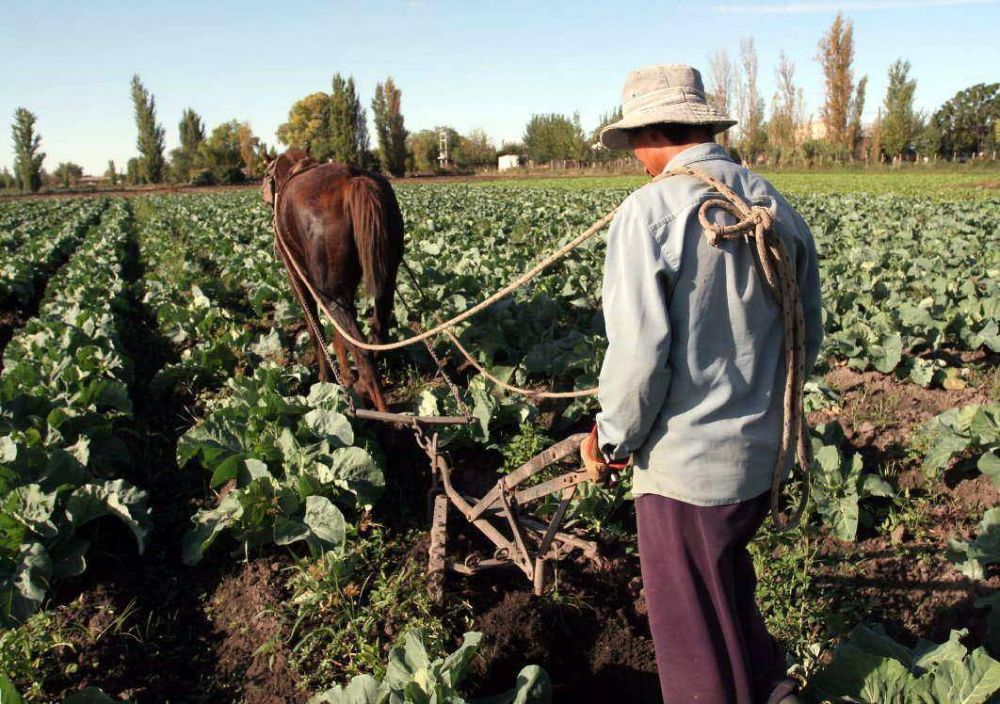 Durante 2015 la econom�a de Mendoza creci� 4 por ciento