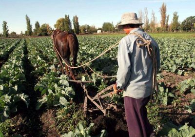 Durante 2015 la econom�a de Mendoza creci� 4 por ciento