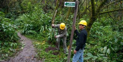 Yerba Buena aporta m�s de un mill�n de pesos para el jard�n bot�nico