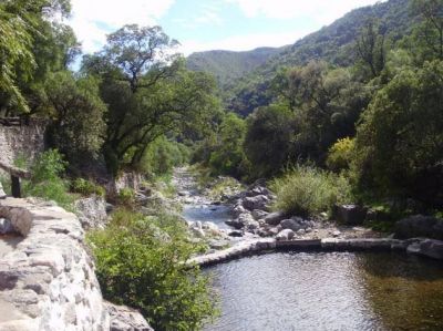 Taller de aprovechamiento forestal sustentable de bosques nativos