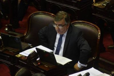 Enojo radical: Cano mand� a su diputado a votar la interpelaci�n a Aranguren