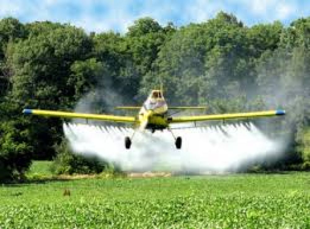 7mo Encuentro de Pueblos Fumigados: se realiza en Trenque Lauquen entre ma�ana y el domingo