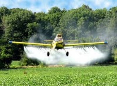 7mo Encuentro de Pueblos Fumigados: se realiza en Trenque Lauquen entre ma�ana y el domingo