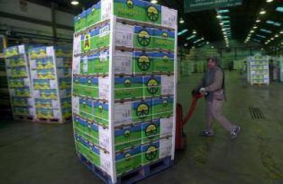 Se exportar�n menos limones de lo que se proyectaba