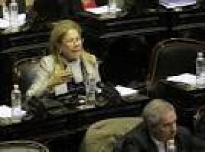 Cama�o denunci� que Aranguren financia un complejo de Shell en Chile con la importaci�n de gas