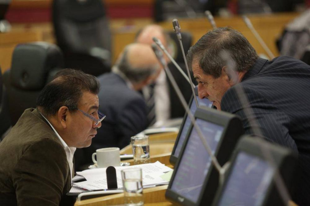 Piden que se cite a legisladores a declarar por presunta evasi�n