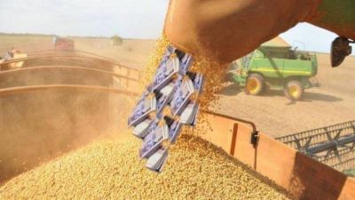 El Fondo Sojero tuvo una retracci�n del 15,9% en julio