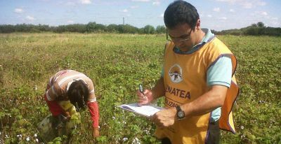 Se agudiza la crisis de despidos en el Renatea