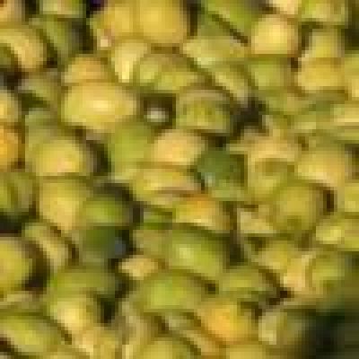 Un desarrollo del INTI optimizar� la industria alimentaria y cosm�tica