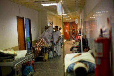 Salta, la quinta provincia con m�s casos de dengue