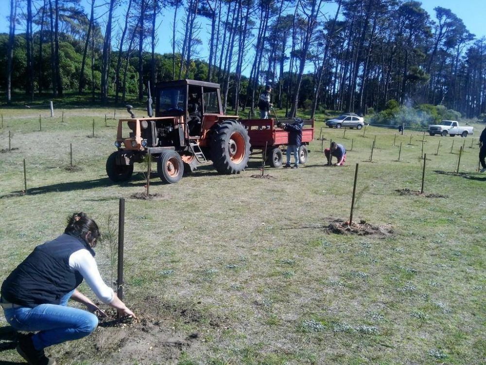 MIRAMAR: Comenz� el Programa Anual de Forestaci�n en el vivero dun�cola de Miramar