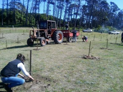 MIRAMAR: Comenz� el Programa Anual de Forestaci�n en el vivero dun�cola de Miramar