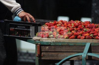 Frutillas: productores corondinos preocupados por la importaci�n
