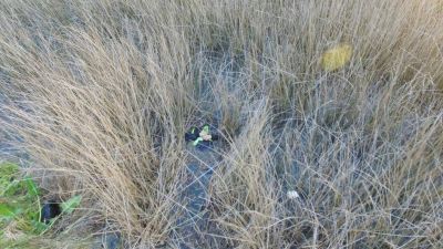 El motociclista muri� ahogado en la banquina de la Autov�a 2