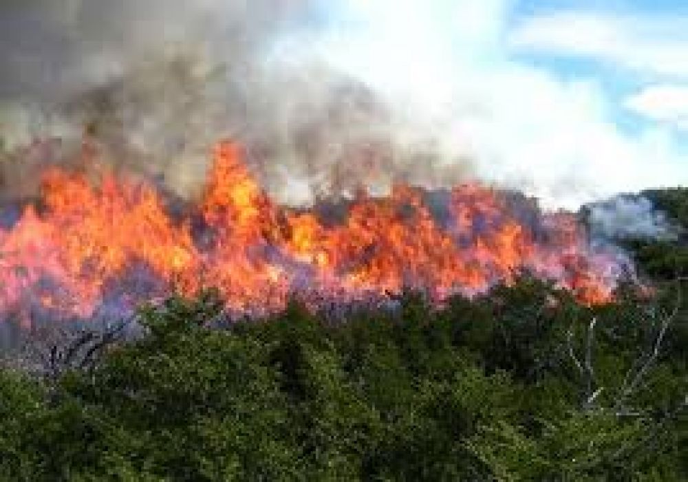 Medio Ambiente brind una capacitacin para evitar incendios en acopios