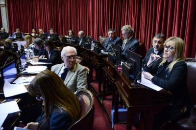 La senadora Boyadji�n insisti� que �ning�n fueguino puede avalar el tarifazo�