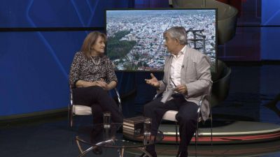 En Salta circulan los cuatro serotipos de Dengue