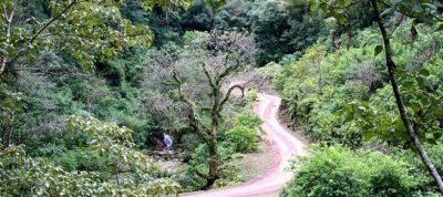 AVANZA LA REMEDIACI�N AMBIENTAL DEL PARQUE NACIONAL CALILEGUA	FEATURED