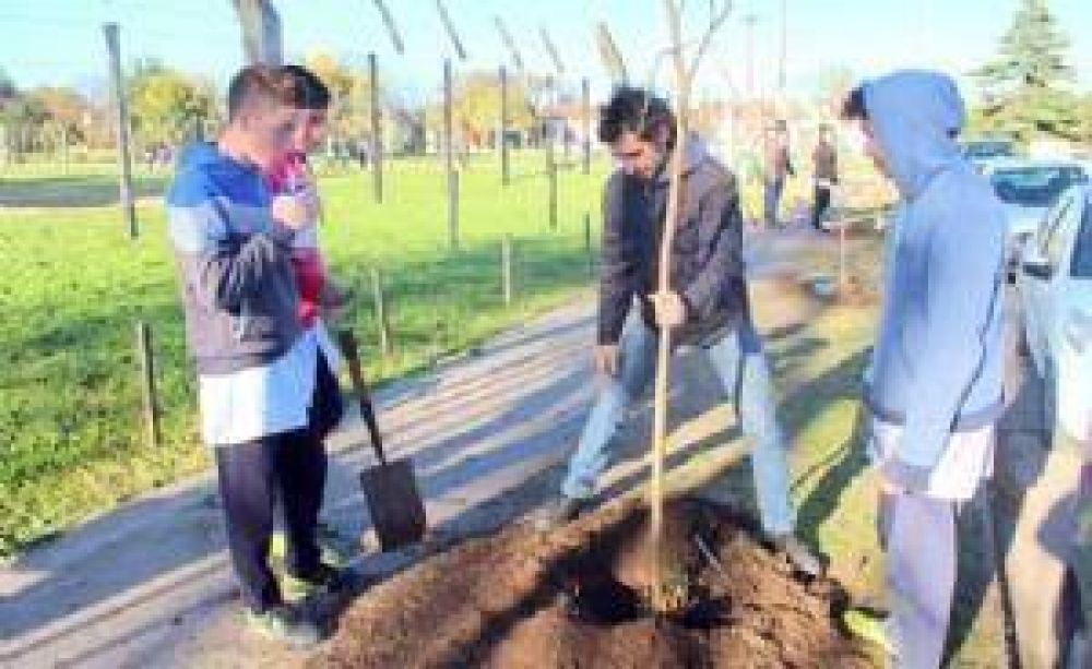 Jornada de plantaci�n de �rboles en veredas de la Secundaria N� 2