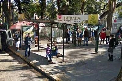 La vuelta del Italpark y una pista de esqu�, ins�litas ideas para el ecoparque