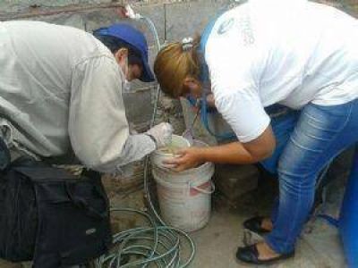 Salud intensifica la vigilancia febril para prevenir dengue y zika