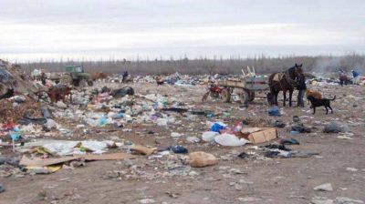 Compactan y aplanan tierras del basural