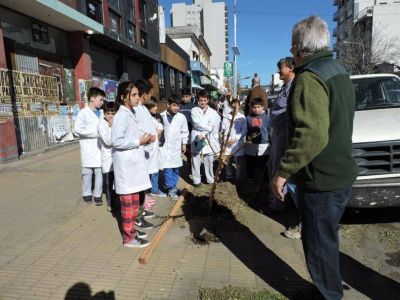 �De qu� se trata el programa Plantemos �rboles para el Planeta Tierra?