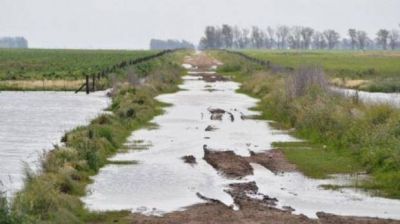 M�s de $120 millones para encarar el saneamiento de rutas