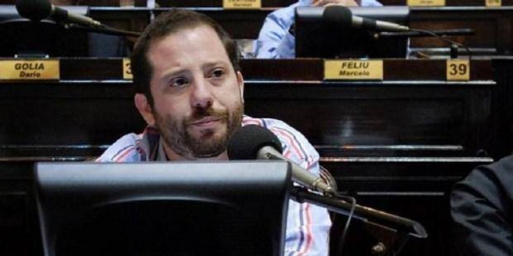 Ottavis dej� de lado el show y volvi� a su rol de diputado con un pedido a Vidal