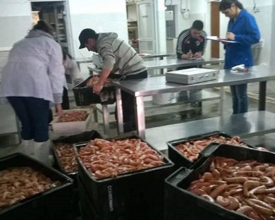La ruta del langostino �es un negocio grande�