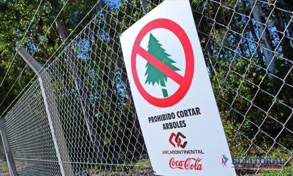 Coca Cola comenzar�a a operar reci�n a mediados de 2017