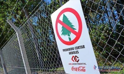Coca Cola comenzar�a a operar reci�n a mediados de 2017