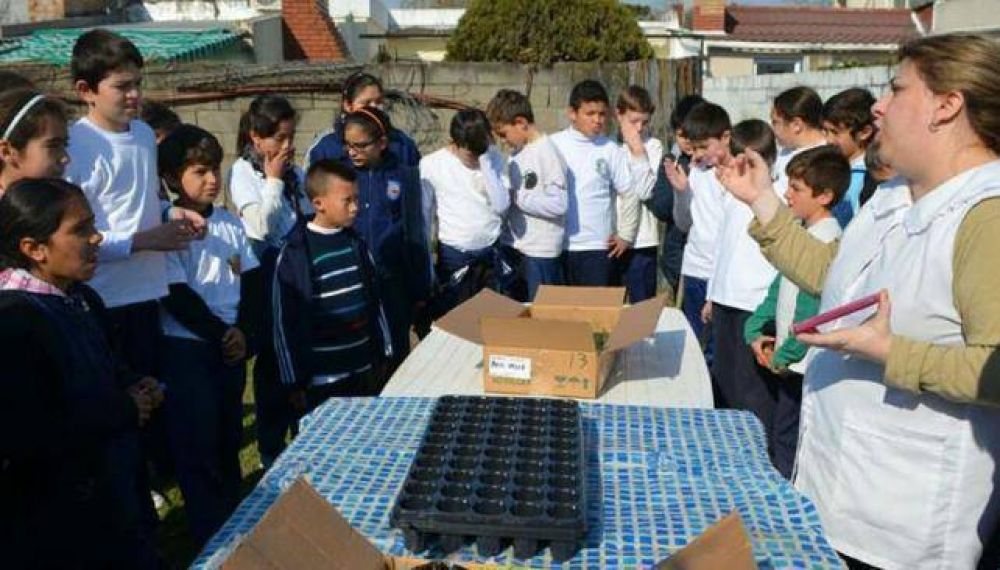 La escuela que asumi el reto de plantar 10 mil rboles