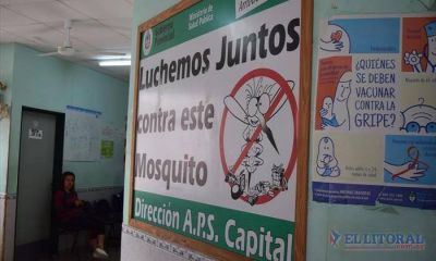Hospitales comienzan a prepararse para reforzar una nueva campa�a anti dengue