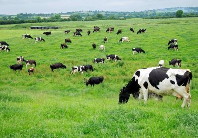 El 22 de septiembre cambian las autoridades de la Sociedad Rural de Entre R�os 