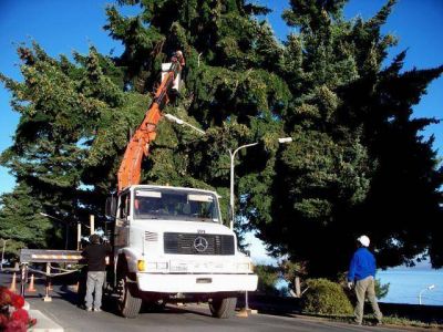 Municipio mejora y readec�a espacios en la ciudad