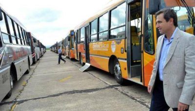Mestre insiste en que Autobuses est� en condiciones