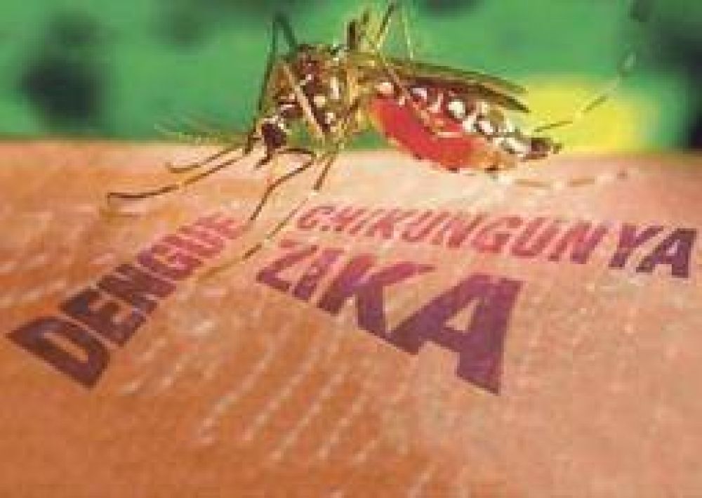 Con el fin del invierno cerca, llaman a prevenir el dengue y el zika