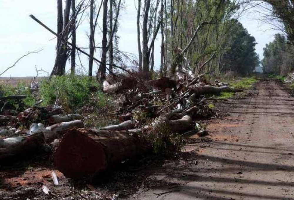 Para Cambiemos, en el Vivero de Claromec� �todo es devastaci�n�
