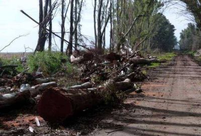 Para Cambiemos, en el Vivero de Claromec� �todo es devastaci�n�