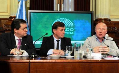Mac Allister en el Senado: pide una ley de infraestructura deportiva