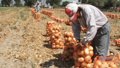 El Gobierno nacional proyecta abrir una �Casa de la Producci�n� en San Juan