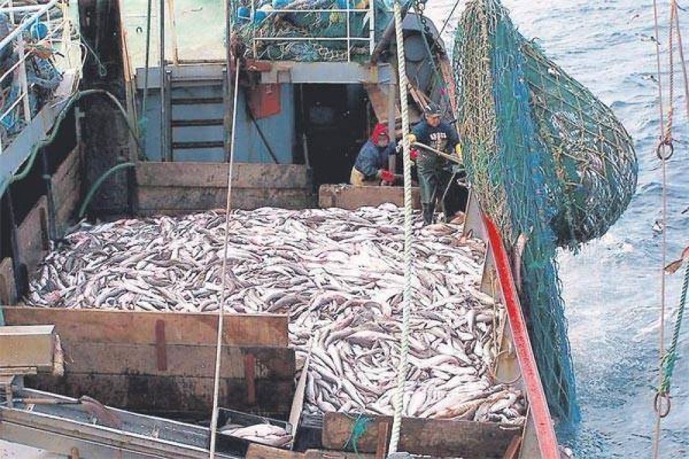 Primer semestre negativo para el sector pesquero