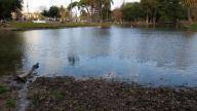 La Plata: El lago del Parque Saavedra se est� quedando sin agua, y hay basura por todos lados