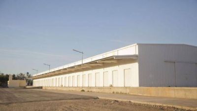 �Para febrero de 2017, el nuevo mercado estar� a full�