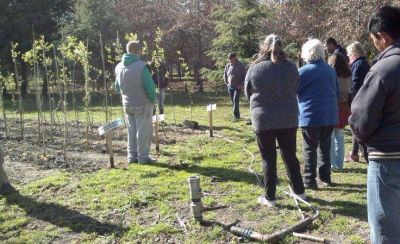 El gobierno nacional le entreg� al Enosur 4000 estacas de �rboles de las especies sauce y �lamoP